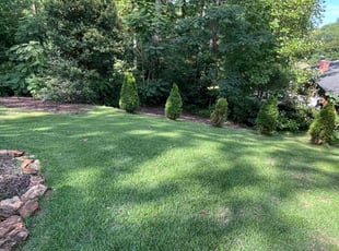 Nickie S.'s Lawn Service service result