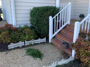 Bush Trimming by Matthew Rutledge for Biju D. in Glen Allen, VA