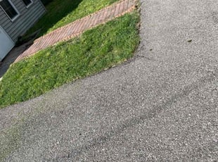 Teresa P.'s Yard Cutting service result