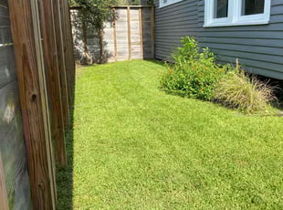 Claire C.'s Lawn Mowing service result