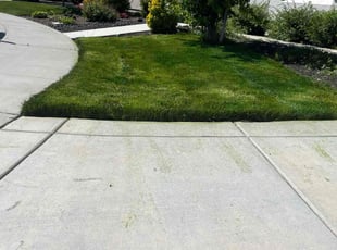 Deborah S.'s Lawn Service service result