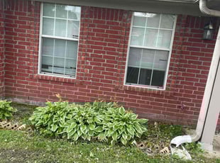 Weeding by Pretty Redd for Charalene R. in Walls, MS