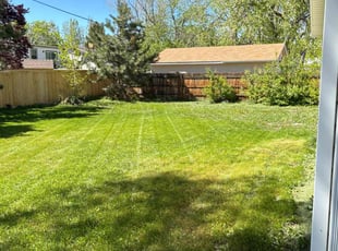 Kelley L.'s Lawn Service service result