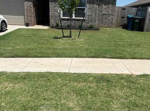 Brandy M.'s Yard Cutting service result