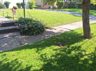 Carol W.'s Lawn Mowing Service service result