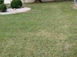 Maggie W.'s Lawn Service service result