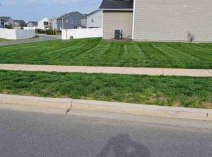 Pamala H.'s Lawn Service service result