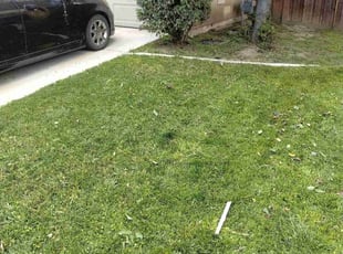 Bush Trimming by Shane Thiel for Ben M. in San Jacinto, CA