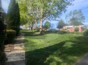 Brittany K.'s Yard Cutting service result