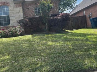 Bush Trimming by Alex Padron for Porcia G. in Flower Mound, TX