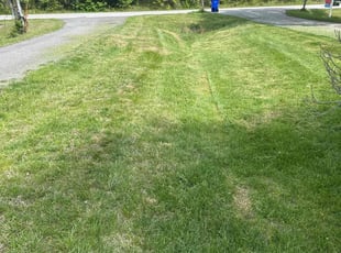 ZHUOJUN H.'s Grass Cutting service result