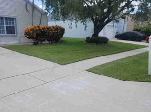 Nina M.'s Lawn Maintenance service result
