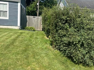 Nathan N.'s Lawn Maintenance service result
