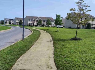 Eric F.'s Lawn Care service result