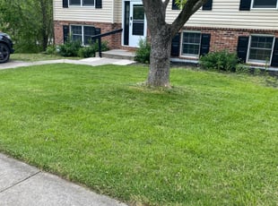 Stacy V.'s Yard Cutting service result