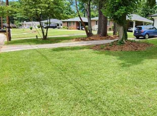 Terrie W.'s Lawn Mowing Service service result