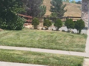 Bush Trimming by Alley Parker for Mark D. in Arvada, CO