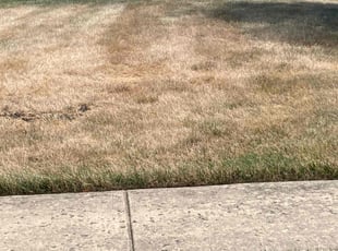 David D.'s Lawn Service service result