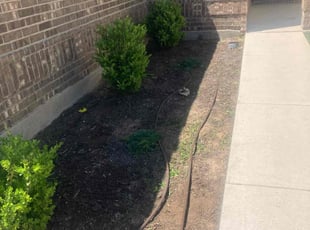Weeding by Humberto Bernal for Flo O. in Manor, TX