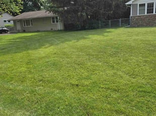Ingrid P.'s Lawn Care service result