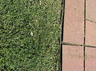Larry F.'s Lawn Care service result