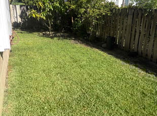 Leaf Removal by Samuel White for Mary L. in Royal Palm Beach, FL