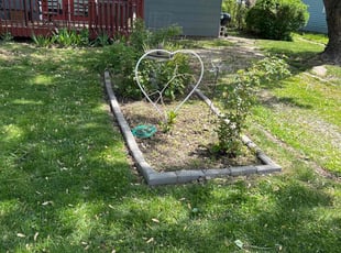 Weeding by Shonna Wilkinson for Dorothy K. in Des Moines, IA