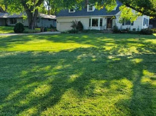 Kia F.'s Yard Cutting service result