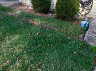Weeding by Jim Crossett for Sarah v. in Herndon, VA