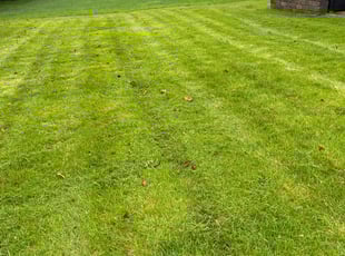 Tom M.'s Lawn Mowing service result