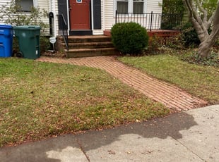 Leaf Removal by James Serio for Chris M. in Rochester, NY