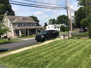 Kristine M.'s Yard Cutting service result