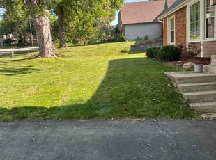 Diane M.'s Lawn Mowing service result