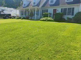 Nathaniel D.'s Lawn Mowing service result