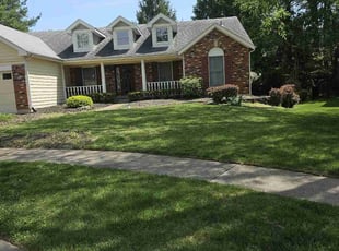 Charlot F.'s Yard Cutting service result