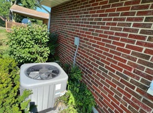 Bush Trimming by James Abernathy for Yanique B. in Cincinnati, OH