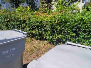 Bush Trimming by Shawn Mcdonald for Sharon F. in Gulf Breeze, FL