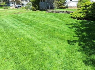 Craig K.'s Lawn Care service result