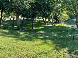 Anthony K.'s Lawn Care service result