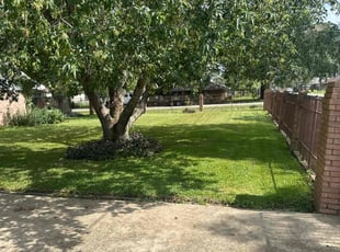 Tabatha J.'s Yard Cutting service result