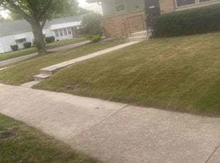 Bush Trimming by Anthony Little for Sheila J. in Milwaukee, WI