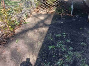 Leaf Removal by Ricky Noble for Mary V. in Lorain, OH