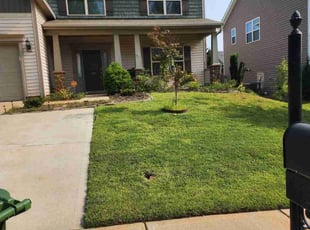 Paul L.'s Lawn Service service result