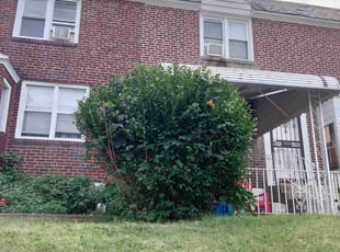 Bush Trimming by James Mullins for Kamir s. in Philadelphia, PA
