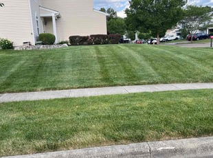 Curtis M.'s Lawn Care service result