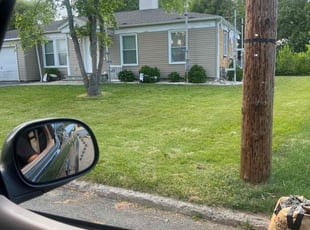 Aimee W.'s Lawn Mowing service result