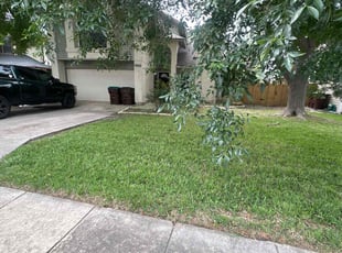 George W.'s Grass Cutting service result