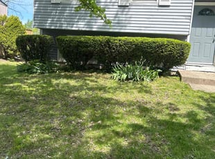 Bush Trimming by Zane Vogelsang for Deanna D. in Cincinnati, OH