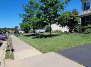 Ojas P.'s Lawn Service service result