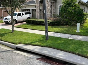 Judy N.'s Lawn Mowing service result